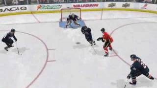 Hilarious NHL 09 Goal!