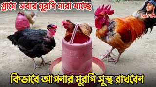 কিভাবে আপনার মুরগি সুস্থ রাখবেন || দেশি মুরগি পালন পদ্ধতি || Nur Bhai