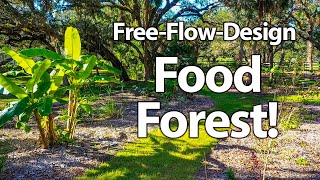 FREE-Style, FREE-Flow Food Forest!! (Follow-Up After 2 Major Hurricanes)