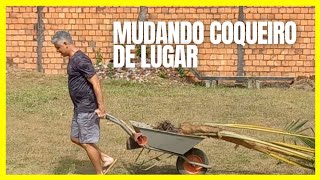 Mudando coqueiro de lugar!!