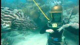 Greg & Sandy and the Giant Grouper.avi