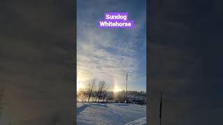 Sundog Whitehorse