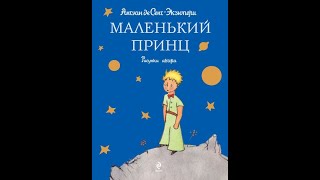 ПО СЛЕДАМ МАЛЕНЬКОГО ПРИНЦА / 22 глава