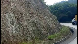 BALLADE DANS LE MAYOMBE AVEC JALOUSIE DE ROGA-ROGA