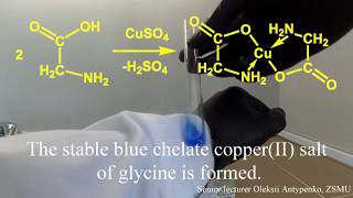 The formation of glycine complex salt with copper(II) sulfate