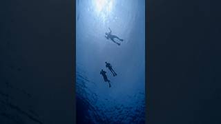 Snorkeling in Oahu! #hawaii #travel #ocean #hawaiianislands #diving #hawaiilife