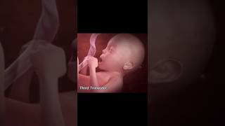 fetus#viral#trending#youtubeshorts#shorts#shortsfeed#shortvideo#viralvideo#medical#nursing