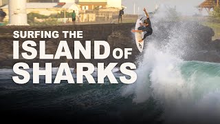 Surfing the Island of Sharks