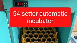 54 setter 50 hatcher automatic incubator with auto water refill | STC-1000