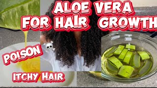 Aloe Vera hair mask