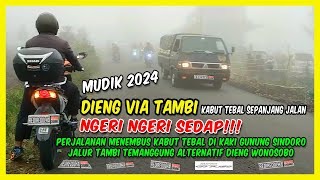 JALUR TAMBI TEMANGGUNG WONOSOBO | GN. SINDORO | MUDIK 2024