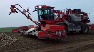 Holmer, Załadunek Buraków - Loading Of Sugar Beet 12-11-2018