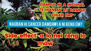 NAUBAN HI CANCER DAMDAWI A NI LO|| by- Dr  Ramenga #speech