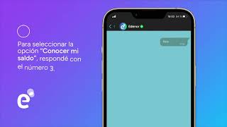 Consulta de saldo - Edenor
