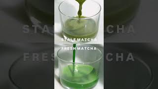 The difference between stale and fresh matcha #matcha #ceremonialmatcha