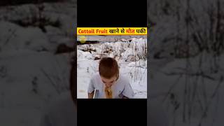 Cattail Fruit 🥖खाने की गलती मत करना||#shorts #facts