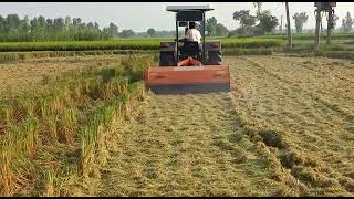 Mulcher / Sonalika Paddy Straw Mulcher in paddy Field Agricultural Machinery