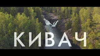 Кивач | Карелия с квадрокоптера