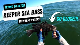 Black Sea Bass Fishing in Connecticut (Saltwater Fishing)