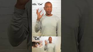 How to sign “Cat” in sign language