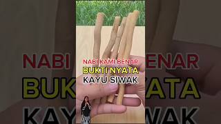 kasiat siwak #faktaunik #kisahislami #kisahrosul #faktamenarik #fakta #kisahnyataislami #shorts