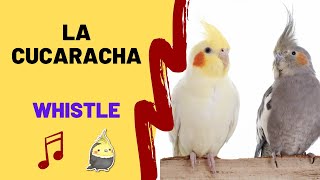 LA CUCARACHA with WHISTLE- Cockatiel Singing Training - Bird Whistle - Parrot Practice