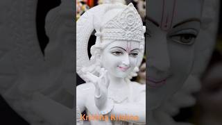 Krishna Statue #youtubeshorts #ytshorts #trending #viralshorts #murti #viralvideo #art