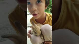 He called his pet baby boy 😁 can't help it , #socute #super #cute #bunny #pets #love #shorts