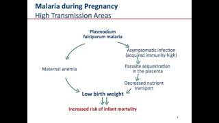 Malaria in Pregnancy by Davidson H Hamer #pregnancyeducation #medicaleducation #diseaseawareness