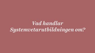 Systemvetarutbildningen vid Högskolan i Borås