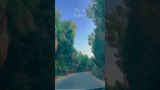 #dubai #viral #love #fyp #trending #shorts | Al barari