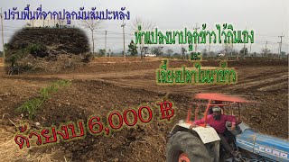 ปรับพื้นที่ทำนาและเลี้ยงปลาในนาข้าว