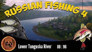 Russian Fishing 4 - Lower Tunguska River - Eastern Bream - Rzeka Dolna Tunguzka