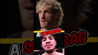 🤬Logan Paul Responds To Dillon Danis Twitter Comment! #loganpaul  #faceoff #noshow #interview