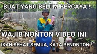 PENONTON BERHASIL MEMBUAT PROBIOTIK DAN MENGAPLIKASIKANNYA - SEMUA IKAN SEHAT SETELAH TEBAR BENIH