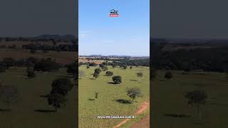 Fazenda de 300 alqueires (1437 hectares) no Vale do Araguaia do MT #agro #fazendasavenda #pecuaria