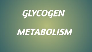 Glycogen Metabolism, glycogen metabolism practice questions, biochemistry, science