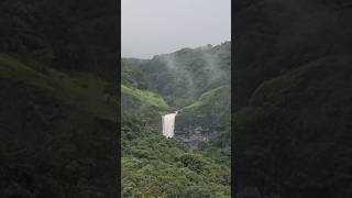 Amazon of westernghats #shorts #barki #shahuwadi #waterfall #nature