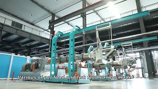 Cold Pressed Extrusion Pet Feed Line 500-3000kg/h#pet #Dog  #extrusion