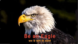 Story of Eagle | बाज के संघर्ष की कहाणी | Best Motivational story by Sonu Sharma in Hindi