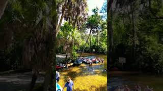 Wiki Wachee river