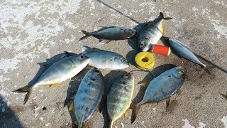 Sabiki fishing under the bridge of talomo coastal davao city