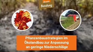 Pflanzenbaustrategien im Ökolandbau zur Anpassung an geringe Niederschläge