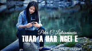 TUAR A HAR NGEI E | PETER C LALRINMAWIA | MIZO CLASSIC | LOVE SONG