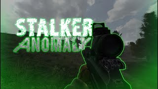 Атмосфера S.T.A.L.K.E.R. Anomaly + pROvAK's Weapon Overhaul