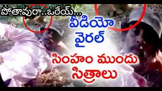 సింహం ముందు కుప్పిగంతులు | The Man Daring Sleep front of Lion