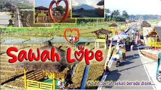 Indahnya sore di SAWAH LOPE | wisata favorit | WISATA KUNINGAN