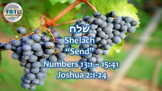 Shelach | "Send" Haftarah Portion