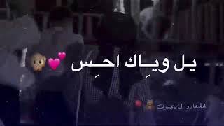 حالات واتس آب عيد الحب❤️😻 2021 اغاني💃 عيد الحب ستوريات انستا عيد الحب