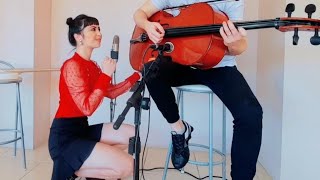 Pink - Who Knew - CELLO REMIX - Overdriver Duo